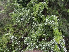 -仙海旅游度假区