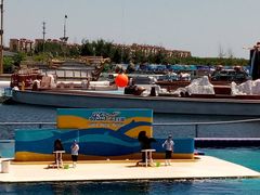 -秦皇岛乐岛海洋王国