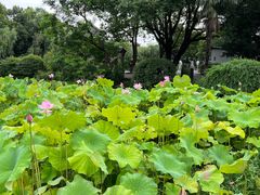 -宜兴张公洞
