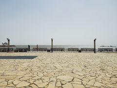 -哈素海