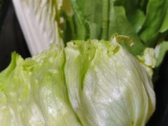 -京门活鱼馆·鱼火锅(百子湾（原红庙）店)