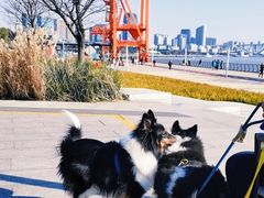 -龙美术馆西岸馆-停车场