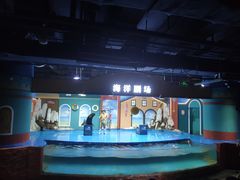 -重庆欢乐海底世界