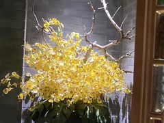 -常来小聚(丰汇时代店)