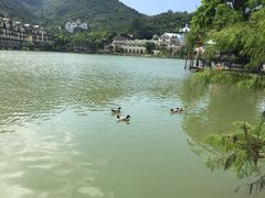 -深圳东部华侨城瀑布酒店