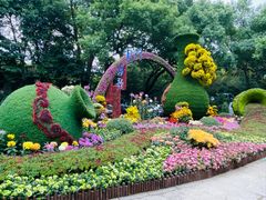 -杭州植物园