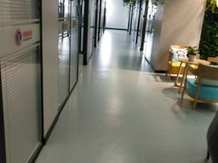 -引领英语·成人口语·雅思托福
