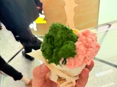 阿勒泰的小白杏-鹤茶野所(上海首店)