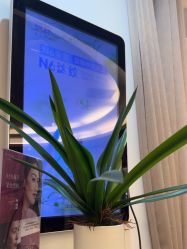 -天津伊美尔医疗整形美容专科医院