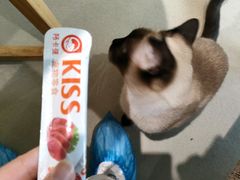 猫零食-藏猫猫咖啡主题馆(中央大道店)