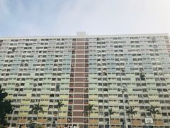 -彩虹村