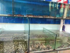 -兆辉木炭海鲜烧烤·海鲜小炒