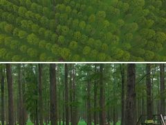 -渌洋湖湿地公园
