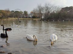 -上海野生动物园