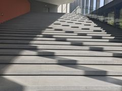-四川大学博物馆
