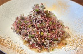 Oil Vinegar Dressing Radish Sprouts
