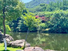 -白马涧龙池景区