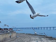 -星海广场