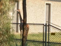 -石家庄市动物园