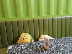 -油梨树AVOCADO TREE(顺义新国展店)