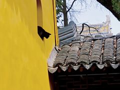 -西园戒幢律寺