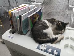 -UNI UNI(环亚凯瑟琳店)