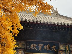 -红螺寺