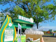 -中华茉莉园