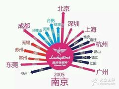 -金吉鸟健身游泳