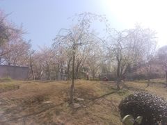 -堤角公园
