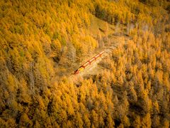 -莫尔道嘎国家森林公园