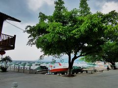-抚仙湖禄充风景区