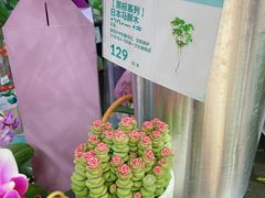 -盒马鲜生(皇庭广场店)