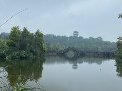 -张坝桂圆林公园