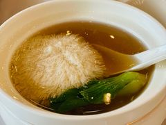 -香乐园·淮扬菜中餐厅·Shang Garden(福田香格里拉店)