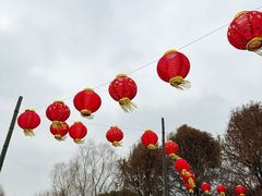-同里国家湿地公园