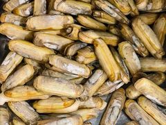 -十四娘手工水饺(新建小区店)