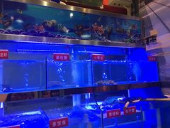 -小龍鳳·港式海鲜打边炉(沙湖路店)