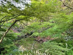 -杭州半山国家森林公园