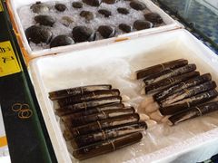 -顺德了能馆(虎门店)