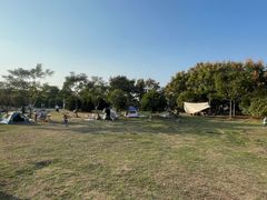 -金银湖国家城市湿地公园