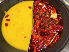 -朱光玉火锅馆(正弘城店)