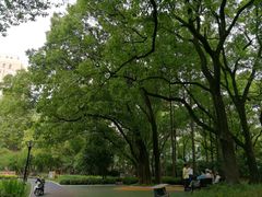 -徐家汇源景区-衡山公园