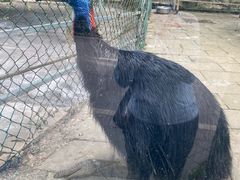 -贵州森林野生动物园