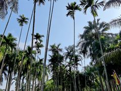 -中国科学院西双版纳热带植物园