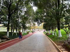 -洛龙公园