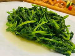清炒豌豆苗-YAFEE雅菲·粤菜·湘菜·融合菜(魏公村店)