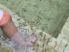 -春晖园度假酒店温泉