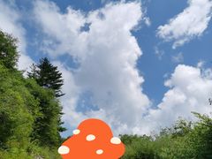 -秦岭风景区