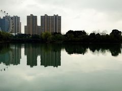 -暨阳湖生态园
